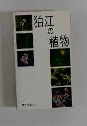 狛江の植物