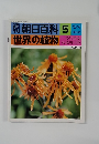 朝日百科 5　世界の植物　12月14日号