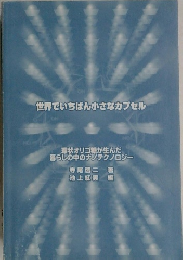 世界でいちばん小さなカプセル