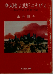 摩天楼は荒野にそびえ わがアメリカ文化誌