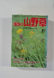 趣味の山野草　10号　1991年No.135