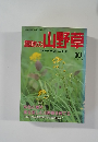 趣味の山野草　10号　1991年No.135