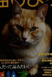 猫びより 2010年 09月号 [雑誌]
