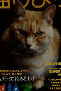 猫びより 2010年 09月号 [雑誌]
