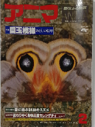 アニマ 1979年 2月号 No.71 特集:目玉模様ーおどしの信号