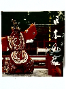 color travel guide 中国