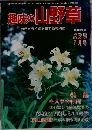 趣味の山野草　No. 4　1980年7月号