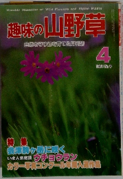 趣味の山野草　9　1981年4月号