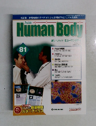 週刊 インサイド・ヒューマンボディ　81号