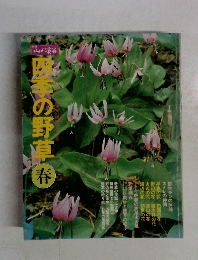 四季の野草　春