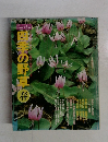 四季の野草　春