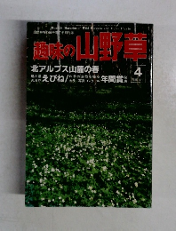 趣味の山野草　１９８８年４月号　