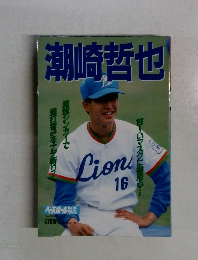 潮崎哲也　 ベースボールアルバム　No.107