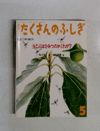 たくさんのふしぎ　1992年5月号　86号