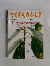 たくさんのふしぎ　1992年5月号　86号