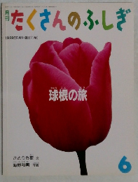 たくさんのふしぎ　1999年6月号　