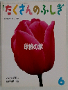 たくさんのふしぎ　1999年6月号　