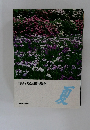 花咲き実成る園芸講座  夏