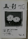 五彩　Vol8