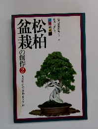 松柏盆栽の創作 2