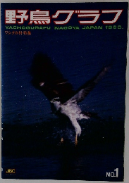 野鳥グラフ　No.1