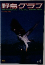 野鳥グラフ　No.1