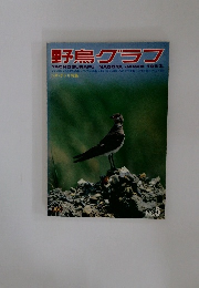野鳥グラフ　1983