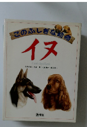 このふしぎな動  イヌ