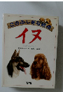 このふしぎな動  イヌ
