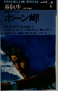 ホーン岬