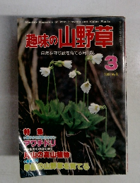 趣味の山野草　1981年3月号　No.8