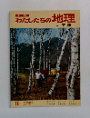 新版  わたしたちの地理　日本編