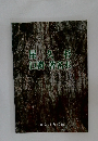 屋久杉巨樹・著名木