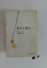 息子と恋人<上>