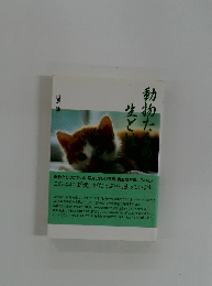 動物たちの生と性　