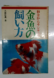 金魚の飼い方