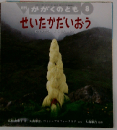 月刊 かがくのとも 2002年8月号 せいたかだいおうーヒマラヤのふしぎなはな