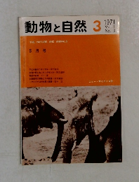 動物と自然　3　1971　Vol.1