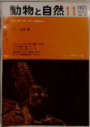 動物と自然　1971　11