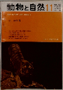 動物と自然　1971　11