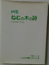 画集  ねむの木の詩　虹をかける子どもたち
