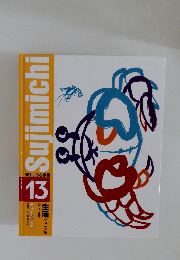 Sujimichi13