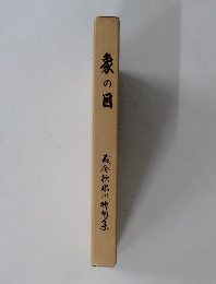 象の目
