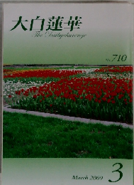 大白蓮華　2009年3月