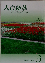 大白蓮華　2009年3月