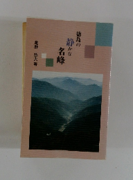 徳島の静かな名峰