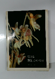 写真集  野生ランのかお