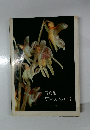 写真集  野生ランのかお