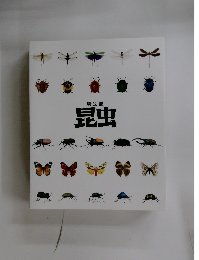 特別展  昆虫