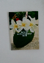 SUNTORY  TROPICAL COCKTAIL  BOOK